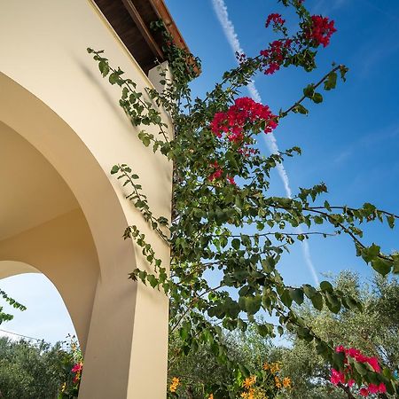 Olga Studios Vasilikí Exterior foto