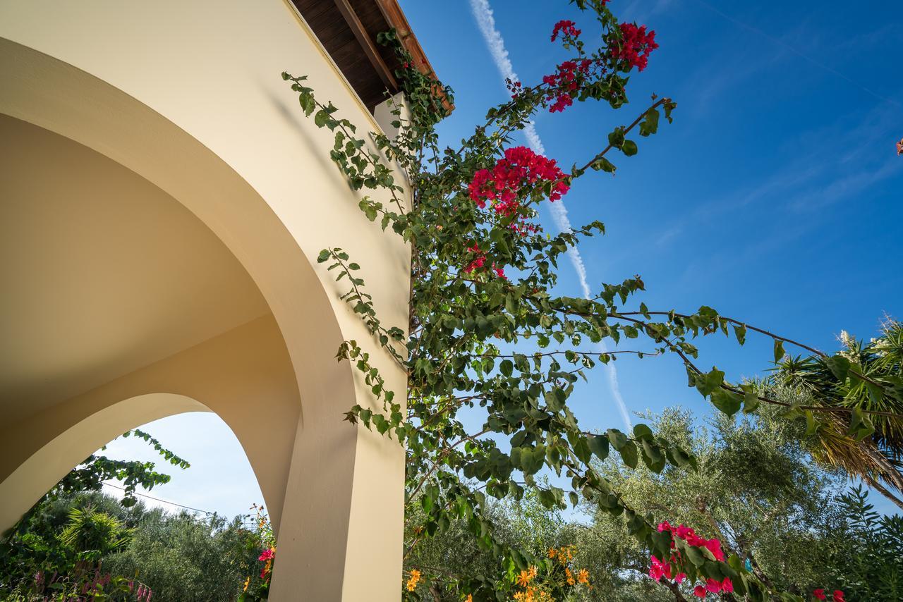 Olga Studios Vasilikí Exterior foto